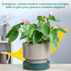 Soothing Rains Ceramic Planters