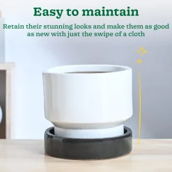 Soothing Rains Ceramic Planters