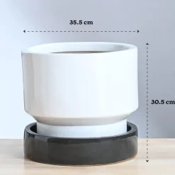 Soothing Rains Ceramic Planters