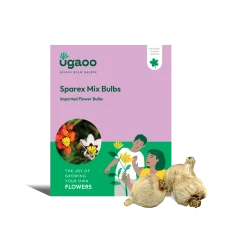 Sparex Mix Bulbs