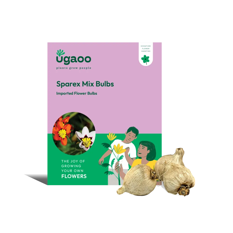 Sparex Mix Bulbs
