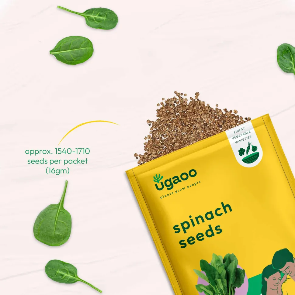 Spinach Seeds (Palak)