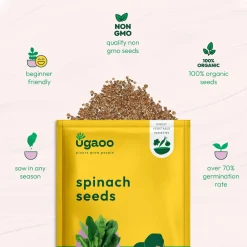 Spinach Seeds (Palak)