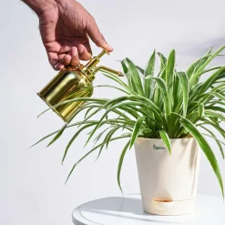 Spritzer Metallic Mister