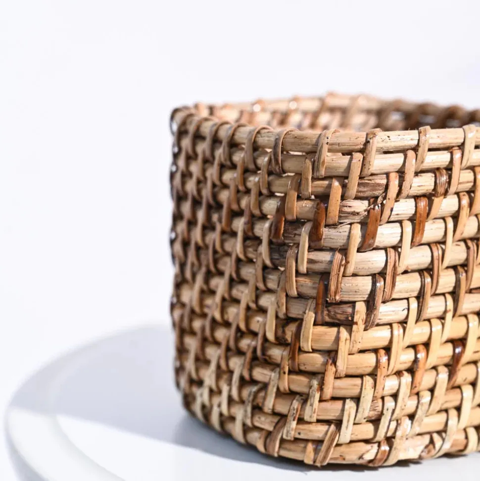 Square Cane Planter
