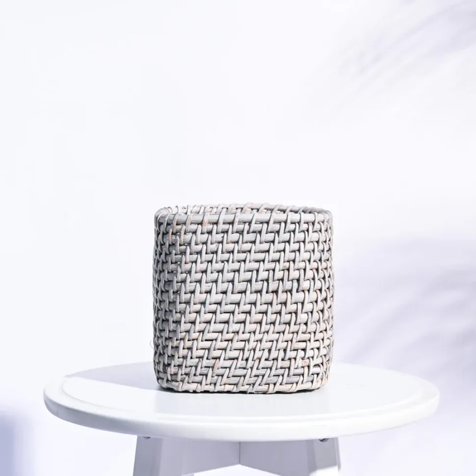 Square Cane Planter