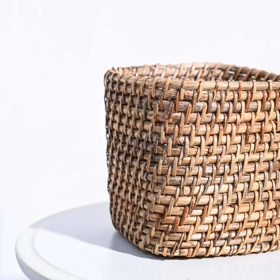 Square Cane Planter