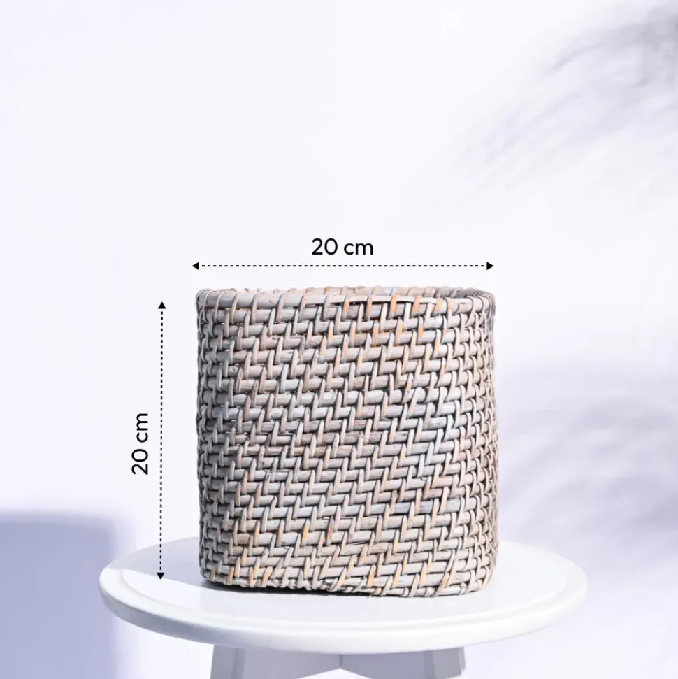 Square Cane Planter