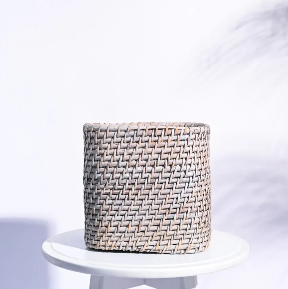 Square Cane Planter