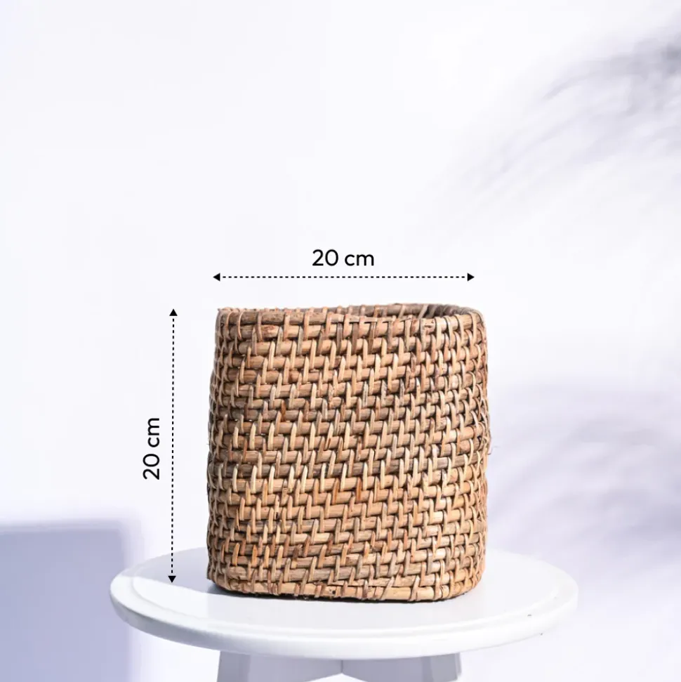 Square Cane Planter