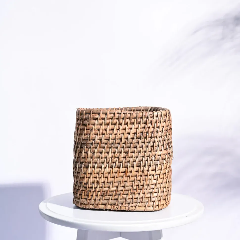 Square Cane Planter