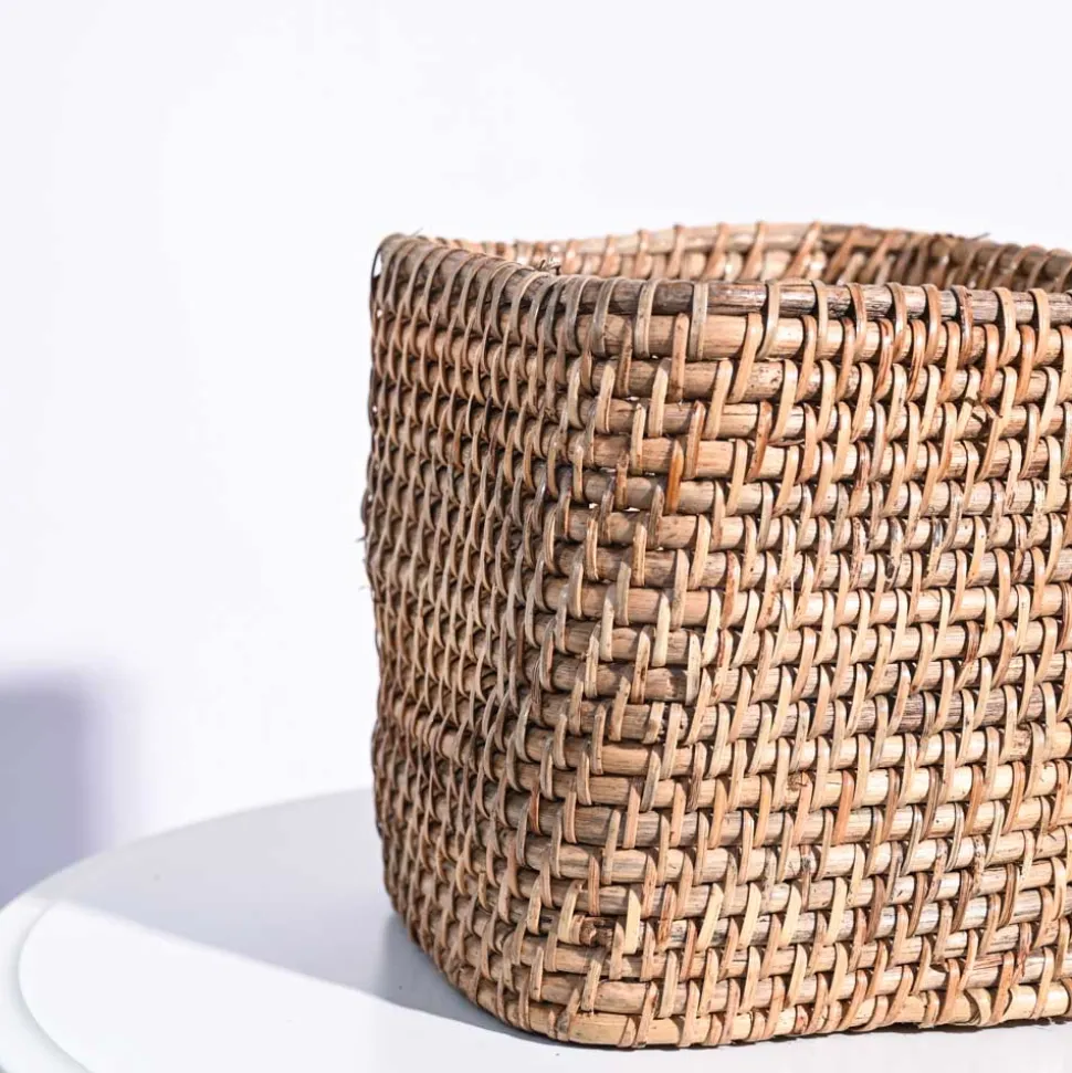 Square Cane Planter