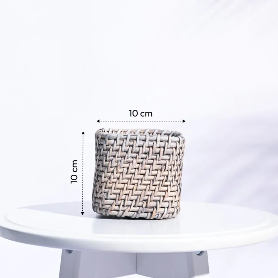 Square Cane Planter