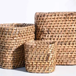 Square Cane Planter