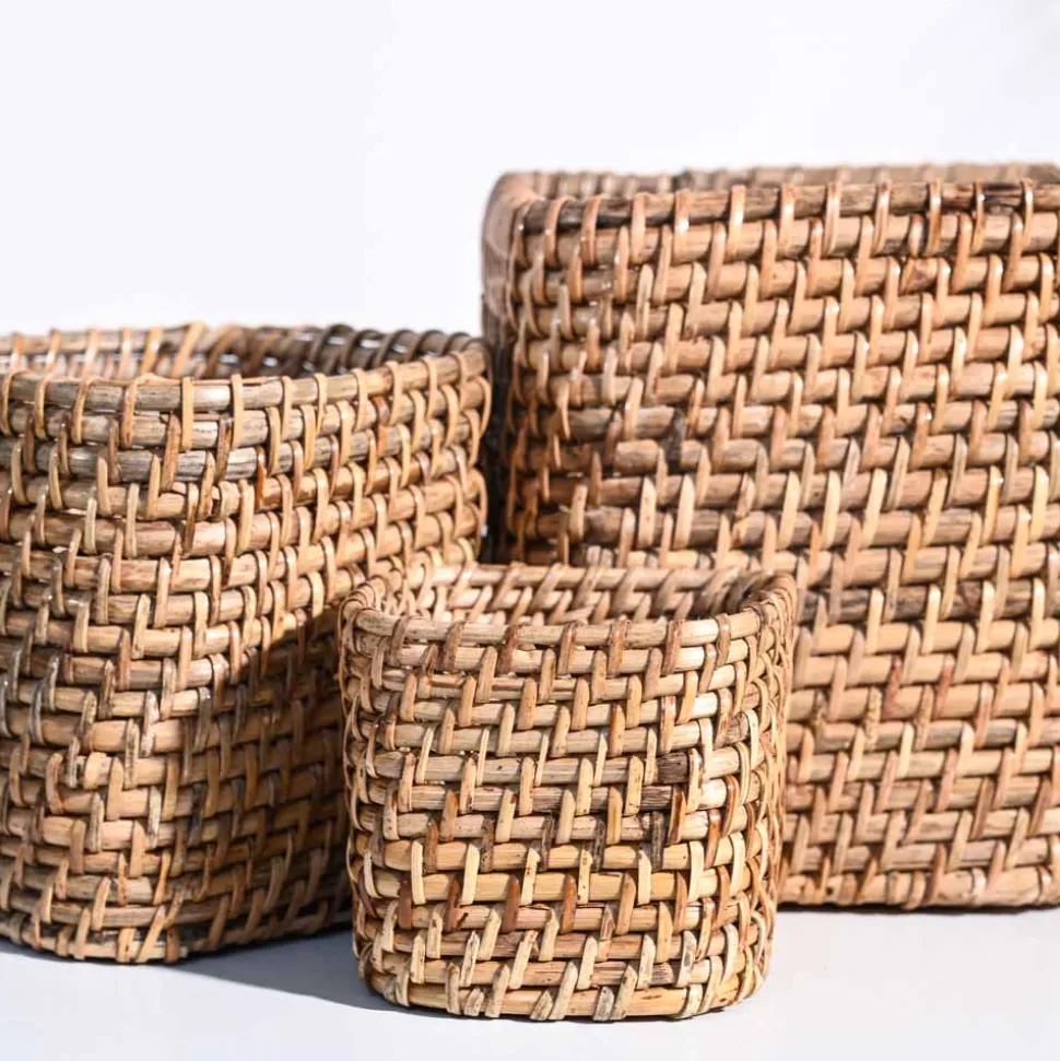 Square Cane Planter