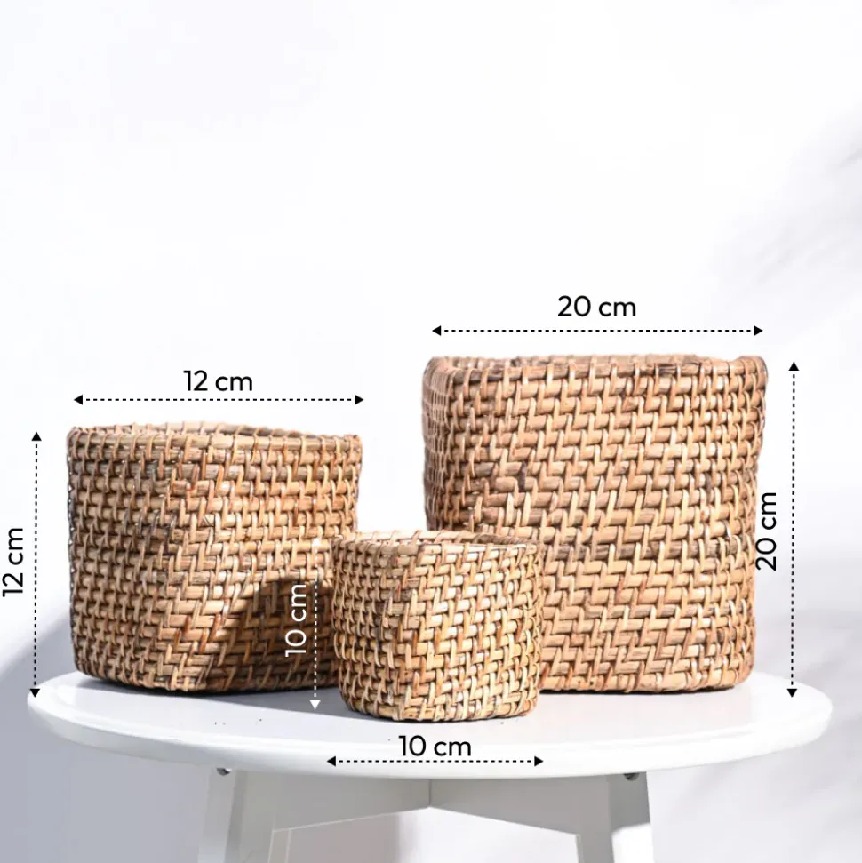 Square Cane Planter