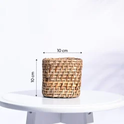 Square Cane Planter