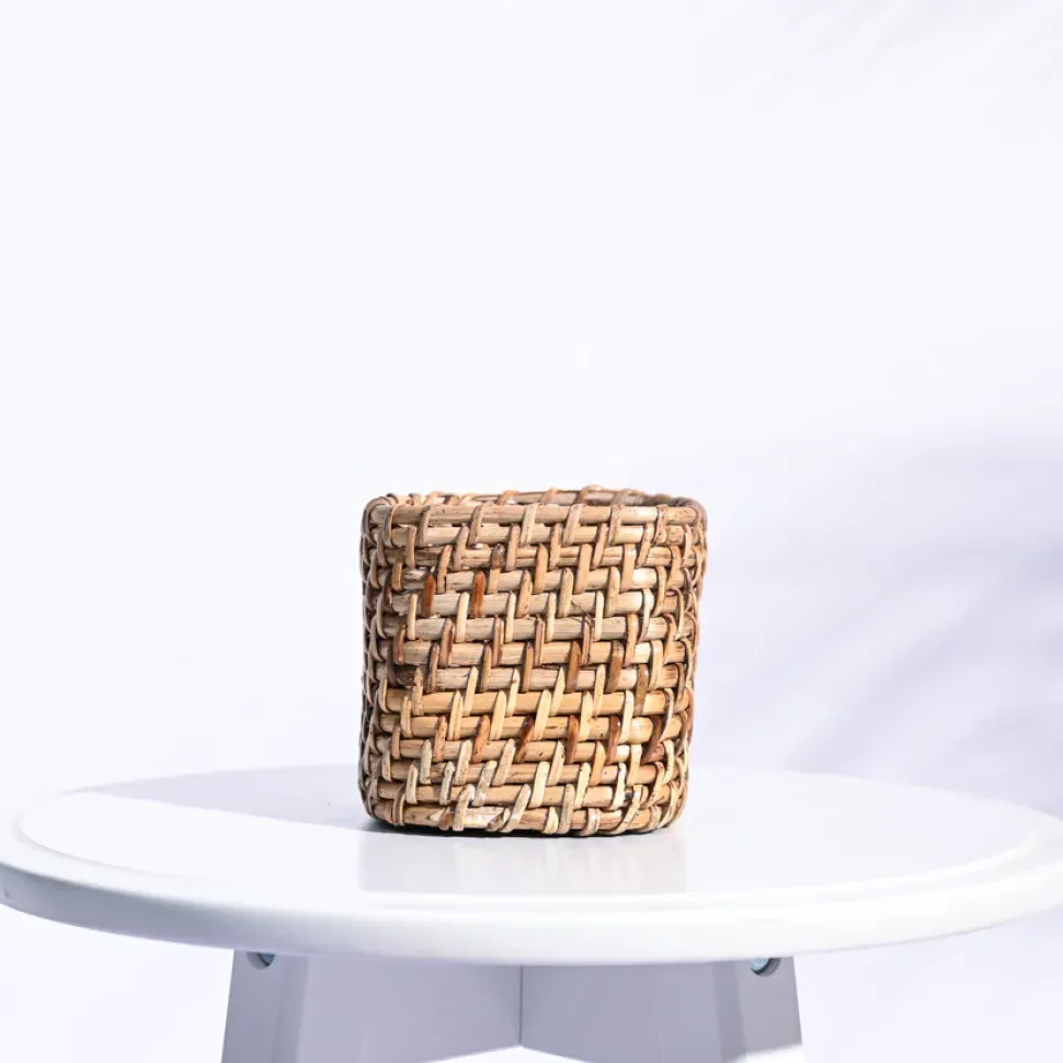 Square Cane Planter