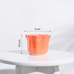 Star Ceramic Pot (4.2 Inch Width)