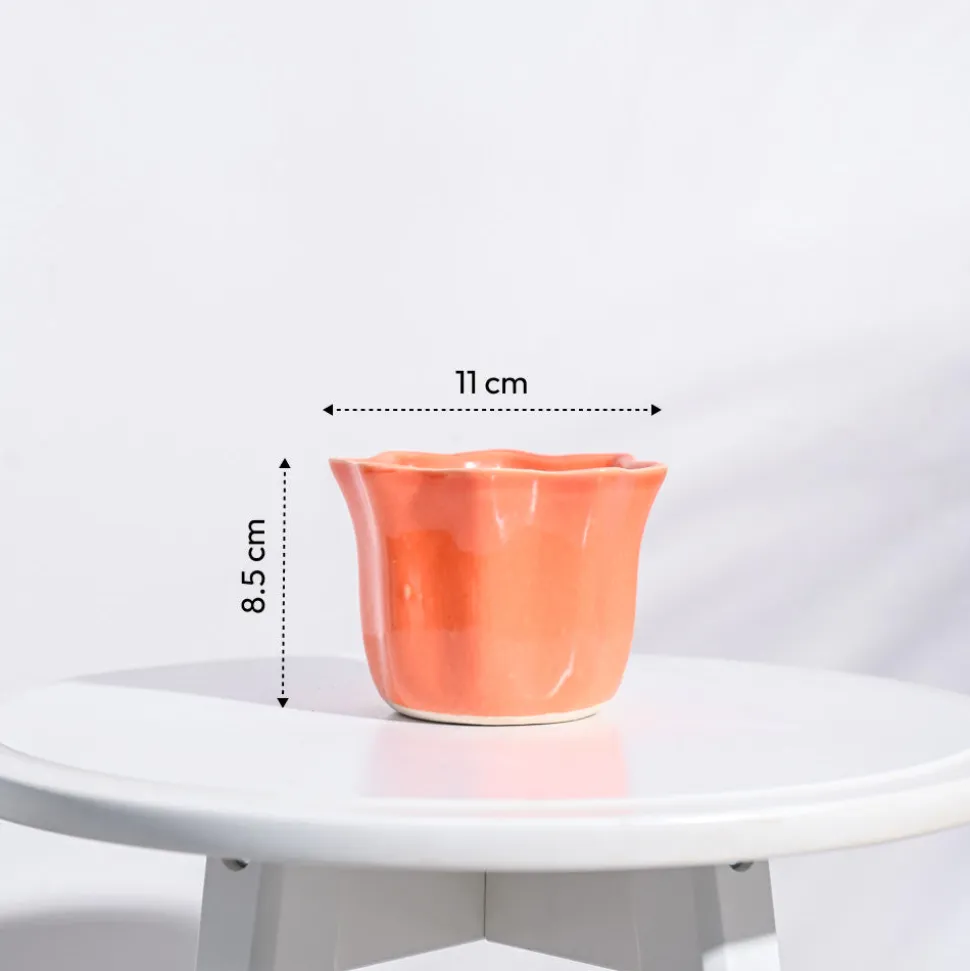 Star Ceramic Pot (4.2 Inch Width)