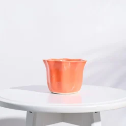 Star Ceramic Pot (4.2 Inch Width)