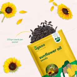 Sunflower Oil Seeds