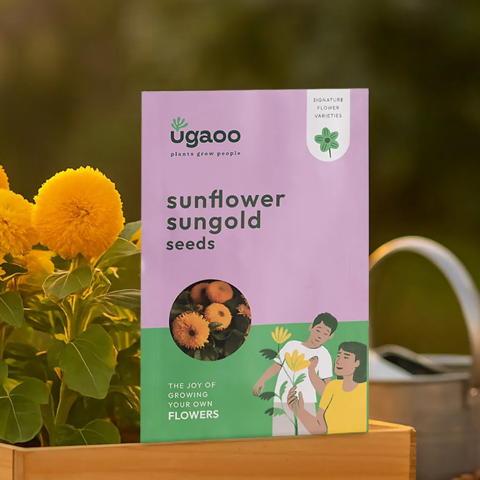 Sunflower Sungold Seeds