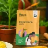 Sweetcorn Seeds