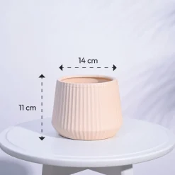 Synth Ceramic Pot