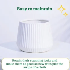 Synth Ceramic Pot