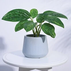 Synth Ceramic Pot