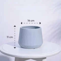 Synth Ceramic Pot