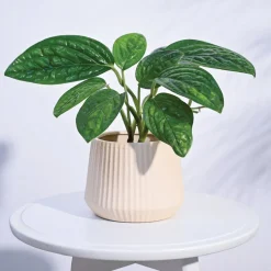 Synth Ceramic Pot