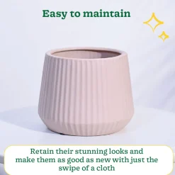 Synth Ceramic Pot