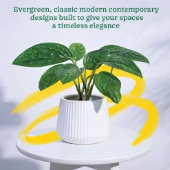 Synth Ceramic Pot