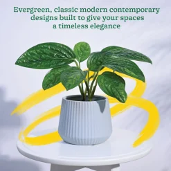 Synth Ceramic Pot
