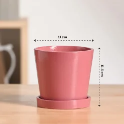 Table Top Ceramic Pot
