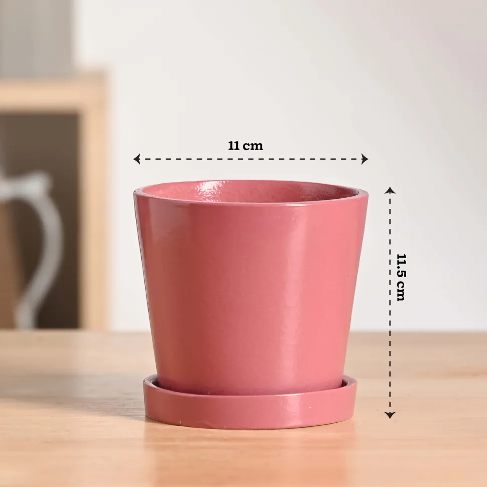 Table Top Ceramic Pot