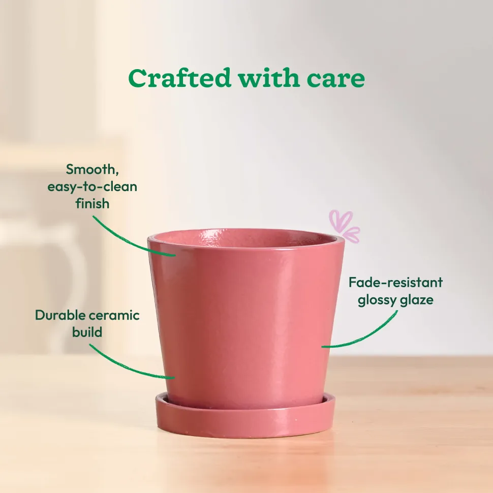 Table Top Ceramic Pot