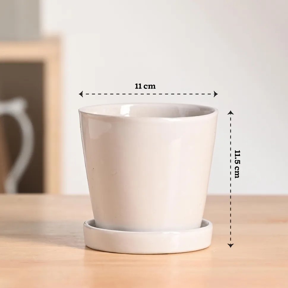 Table Top Ceramic Pot