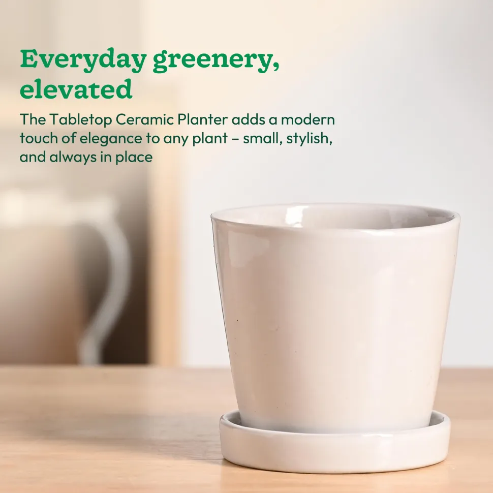 Table Top Ceramic Pot