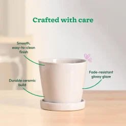 Table Top Ceramic Pot