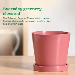 Table Top Ceramic Pot