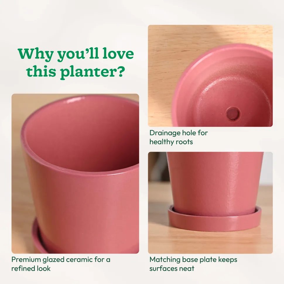 Table Top Ceramic Pot