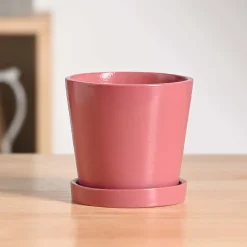 Table Top Ceramic Pot