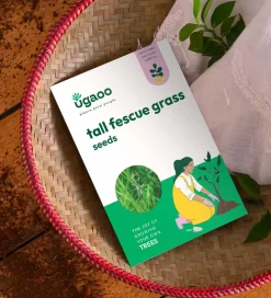Tall Fescue Grass - 250 g