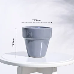 The Dream Ceramic Pot