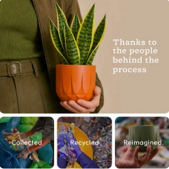 The Echo Planter