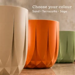 The Echo Planter