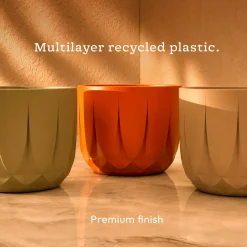 The Echo Planter